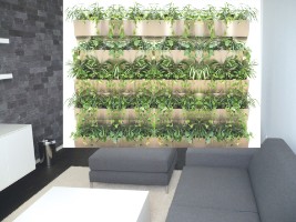 Grüne Wand für alle Pflanzen und jeden Standort