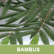 GKR Kunstpflanzen Bambus QU