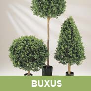 GKR_Kunstpflanzen_Buxus_Quadrat
