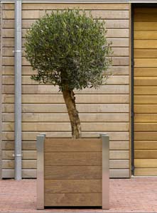 Superline Outdoor Standard