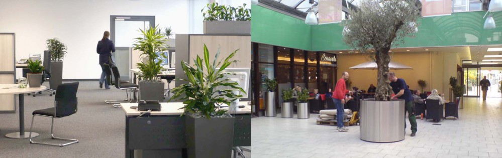 Pflanzenservice & Wartungen durch GKR Germany