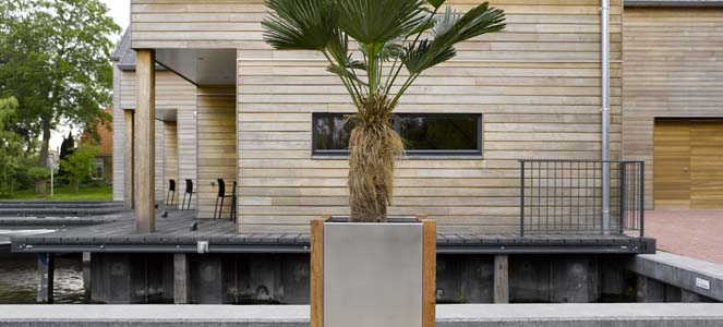 Terrassenbegrünung