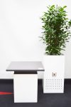 MM Box weiss hochglanz mit Ficus moclame und Beistelltisch WEB